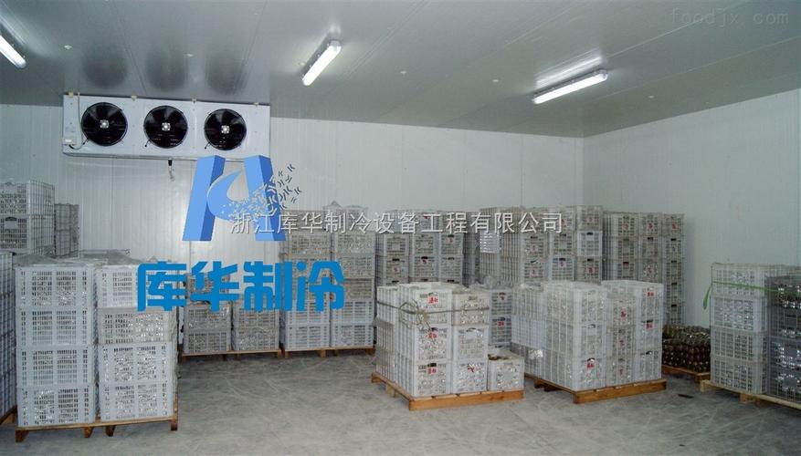 装配式冷库设计指南 从保鲜冷藏需求到高效制冷设备选型
